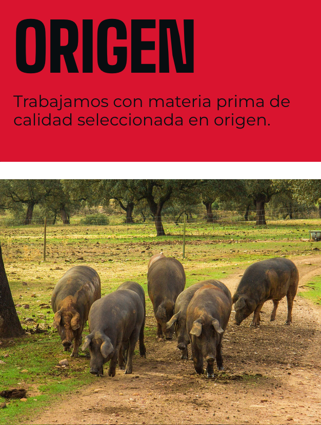ORIGEN