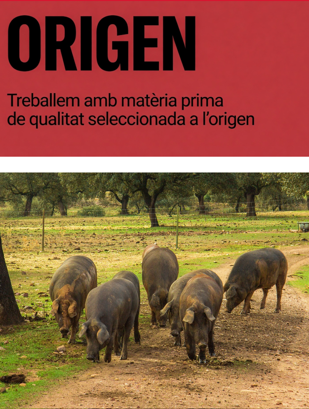 ORIGEN