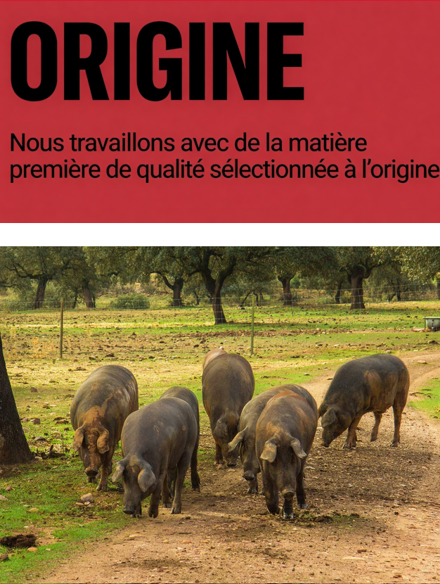 ORIGINE