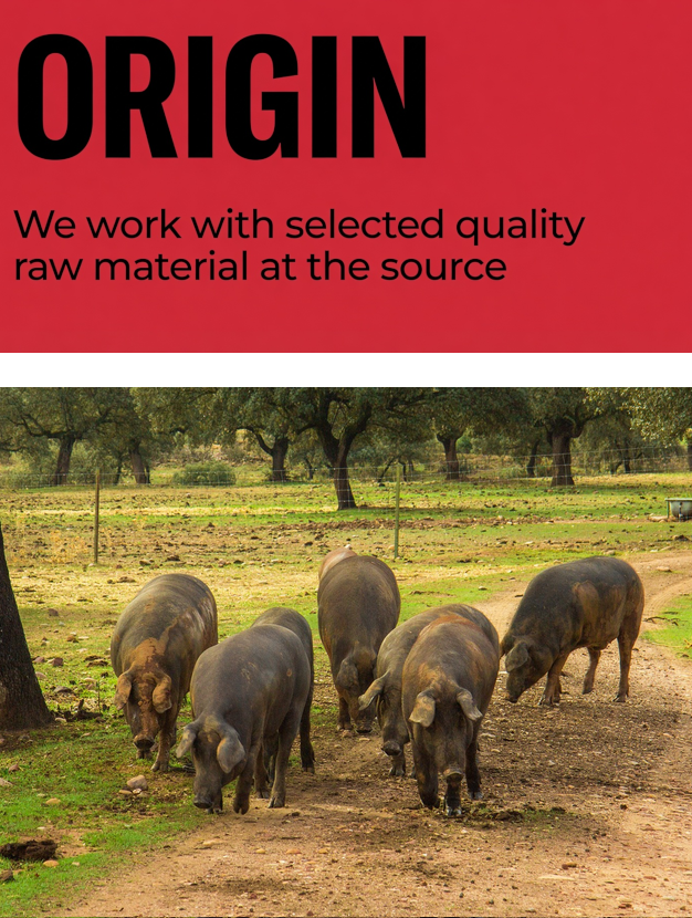 ORIGIN